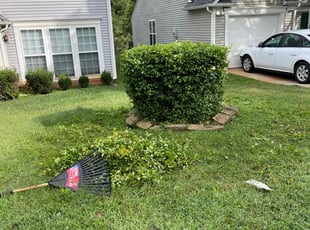 Bush Trimming by Austin Boozer for Ahmed D. in Charlotte, NC