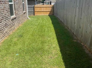 Shaqurah Z.'s Lawn Maintenance service result