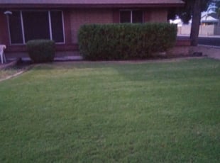 Bush Trimming by Jesse Yosua for Matt M. in Glendale, AZ