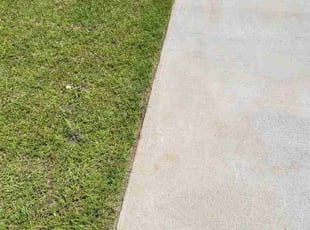 Carol M.'s Lawn Mowing Service service result