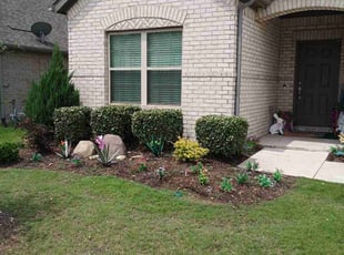 Bush Trimming by Daniel Sloan for Keila G. in Celina, TX