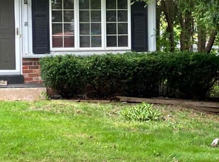 Bush Trimming by Arnan Valmont for Aneita . in Milwaukee, WI