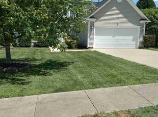 Gail M D.'s Lawn Care service result