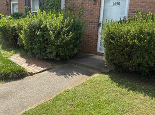 Weeding by William Perry for Daphne J. in Smyrna, GA