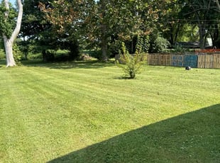 James H.'s Yard Cutting service result