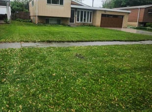 Bush Trimming by Brooke Ardoin for Jeffrey D. in Lombard, IL