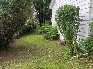 Bush Trimming by Esther Castro for Yolanda J. in Passaic, NJ