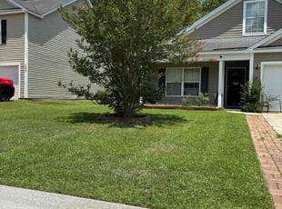 David O.'s Grass Cutting service result