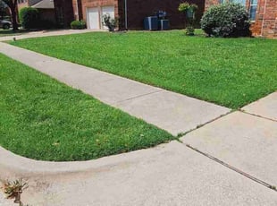 Dan D.'s Grass Cutting service result