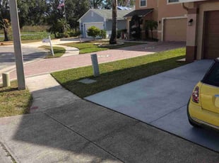 Venita Y.'s Lawn Mowing service result