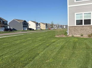 Asia M.'s Grass Cutting service result
