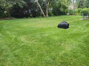 William B.'s Lawn Mowing service result