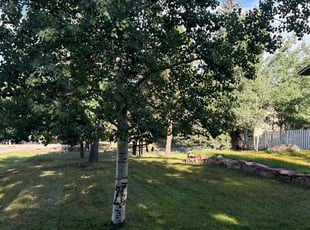 Retda b.'s Yard Cutting service result
