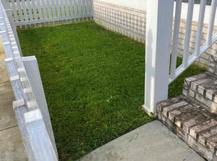 Marcia M.'s Grass Cutting service result