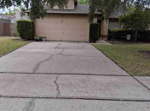 Bush Trimming by Permon Riggins for James W. in Winter Garden, FL