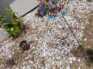 Weeding by Calvin Williams for Tabetha D. in Jacksonville, FL
