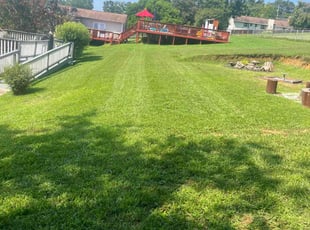 Mike J.'s Yard Cutting service result