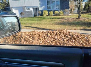 Leaf Removal by Kelvin Williams for Siddik T. in Evesham, NJ