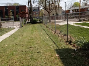 Leaf Removal by Tina Penney for Nikki M. in Columbus, OH