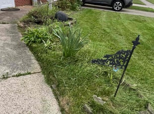 Weeding by Quincy Henry Williams for Teresa H. in Brookville, OH