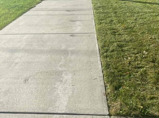 Lesley K.'s Lawn Care service result