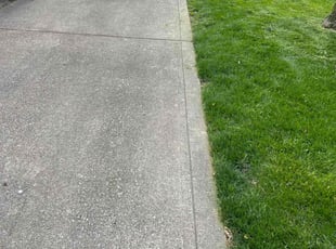 Joie F.'s Lawn Care service result
