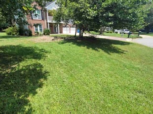 Barbara S.'s Yard Cutting service result
