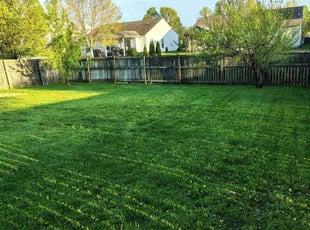 Fadi H.'s Lawn Service service result