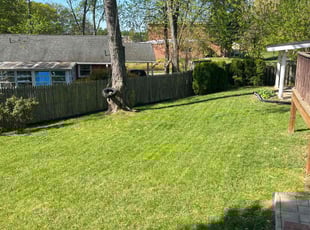 Melissa B.'s Lawn Mowing service result