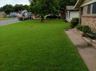 Randy R.'s Lawn Mowing service result