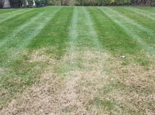 Cleanups by Nate Reed for Brian C. in Beavercreek, OH
