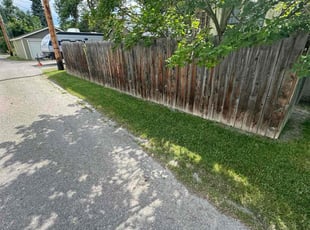 Taylor P.'s Lawn Service service result