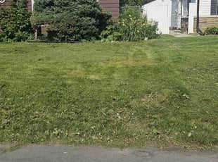 James G.'s Lawn Mowing service result