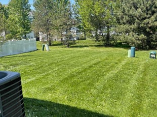 Abeba H.'s Lawn Maintenance service result