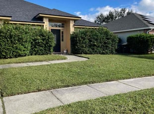Marvin C.'s Yard Cutting service result