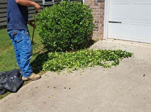 Bush Trimming by Eliseo Campos for Hao Z. in Mooresville, NC