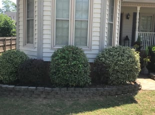 Bush Trimming by Ricardo Sutherland for Shannon M. in Birmingham, AL