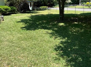 Irene B.'s Lawn Service service result