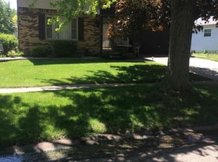 Abraham P.'s Lawn Service service result