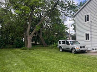 Taryn E.'s Lawn Care service result