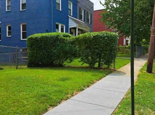 Bush Trimming by Jose Paz for Dorothy S. in Washington, DC