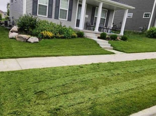 Jack F.'s Yard Cutting service result