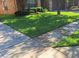 Beverly H.'s Grass Cutting service result
