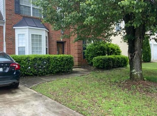 Bush Trimming by Shaquille Davis for Laura M. in Greenville, SC