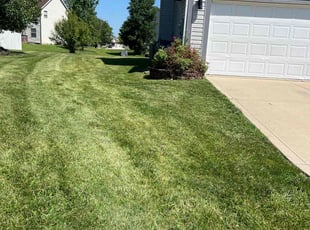 Jason K.'s Lawn Care service result