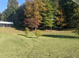 Bush Trimming by Shawn Davis for Karen O. in Fletcher, NC