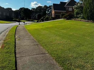 Kenya G.'s Lawn Mowing service result