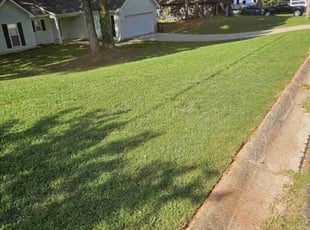 Teresa A.'s Lawn Mowing service result