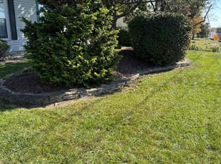 Jim M.'s Grass Cutting service result