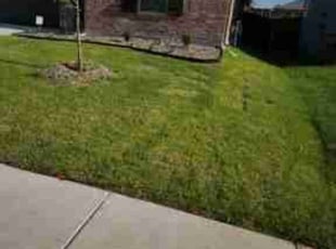 Geoff W.'s Lawn Service service result